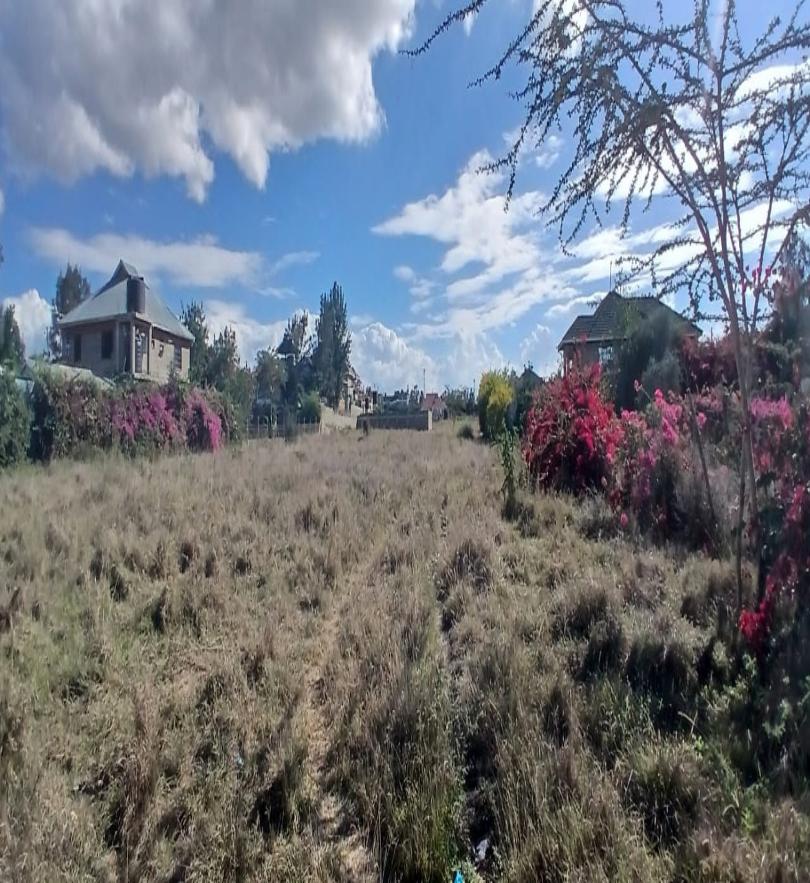 Kitengela Plots